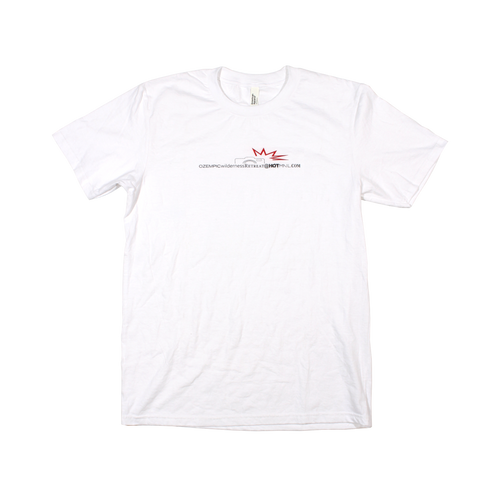 HotMail T-shirt